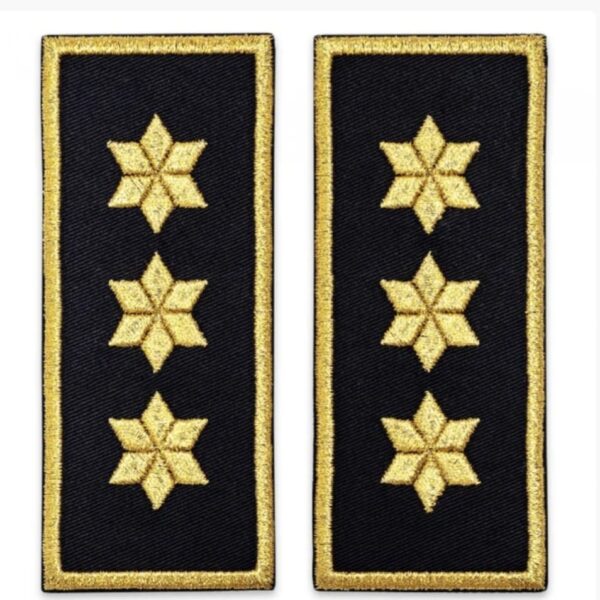 Grade - Comisar Sef ANP